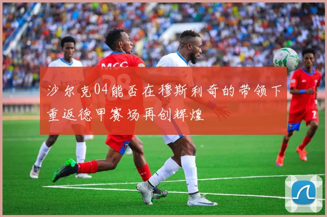 沙尔克04能否在穆斯利奇的带领下重返德甲赛场再创辉煌