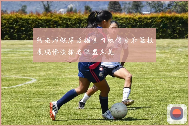 约老师缺席后掘金内线得分和篮板表现惨淡排名联盟末尾